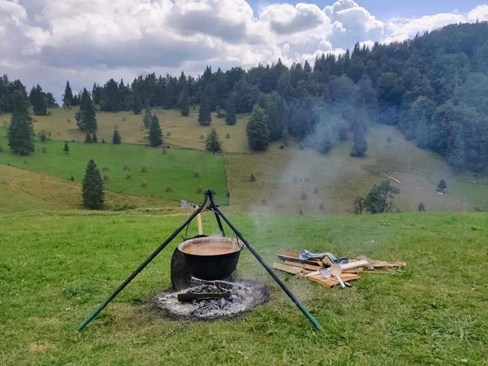 Pensiunea Poarta Lui Ionele Gîrda de Sus Exterior foto