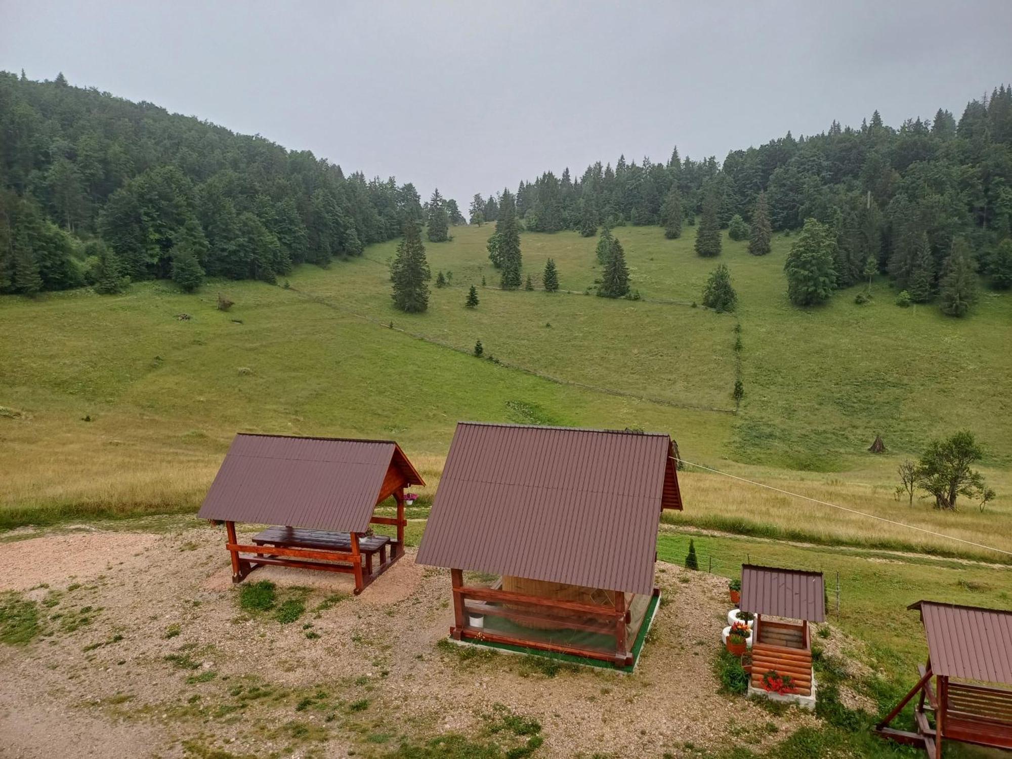 Pensiunea Poarta Lui Ionele Gîrda de Sus Exterior foto