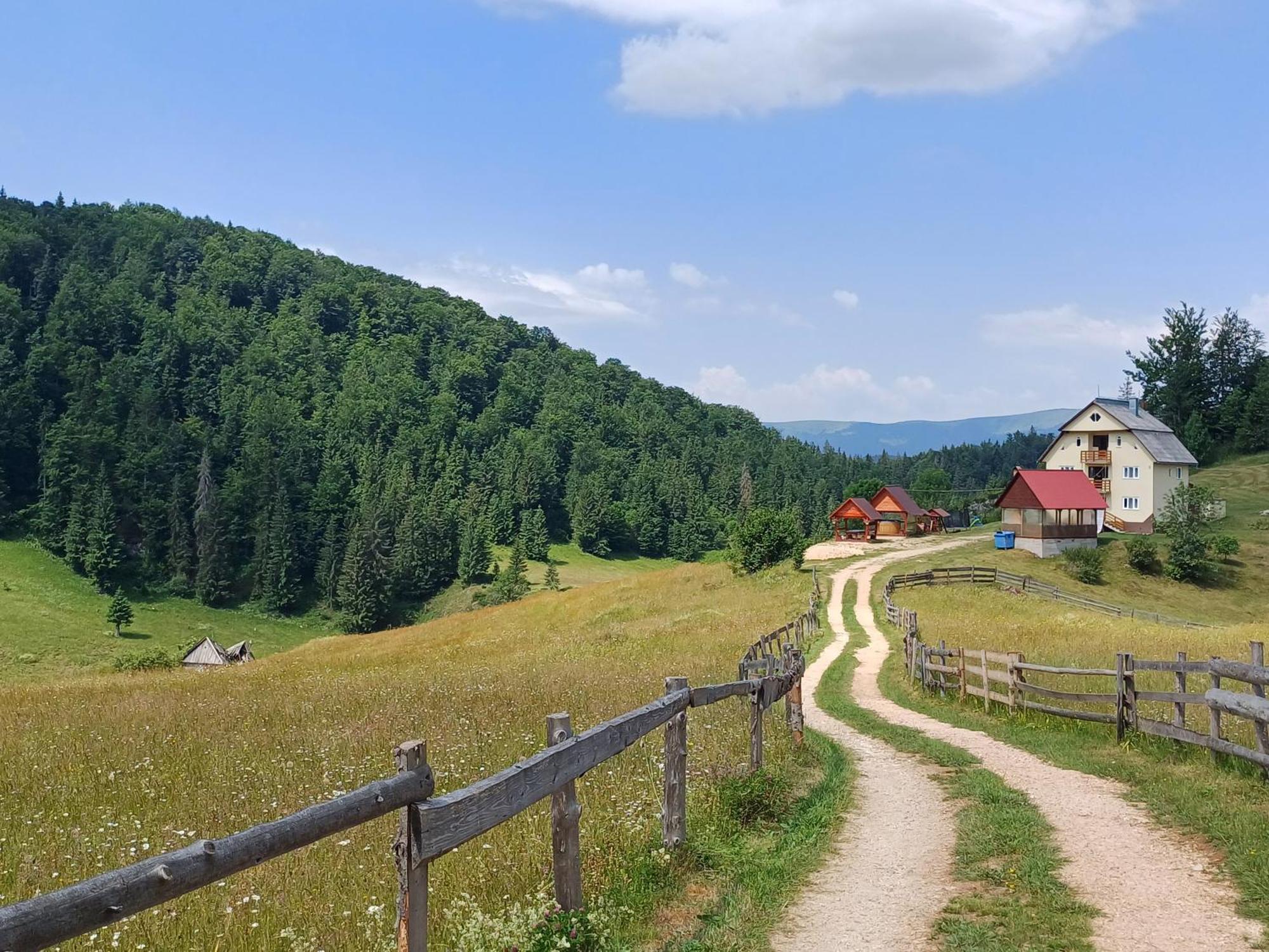 Pensiunea Poarta Lui Ionele Gîrda de Sus Exterior foto