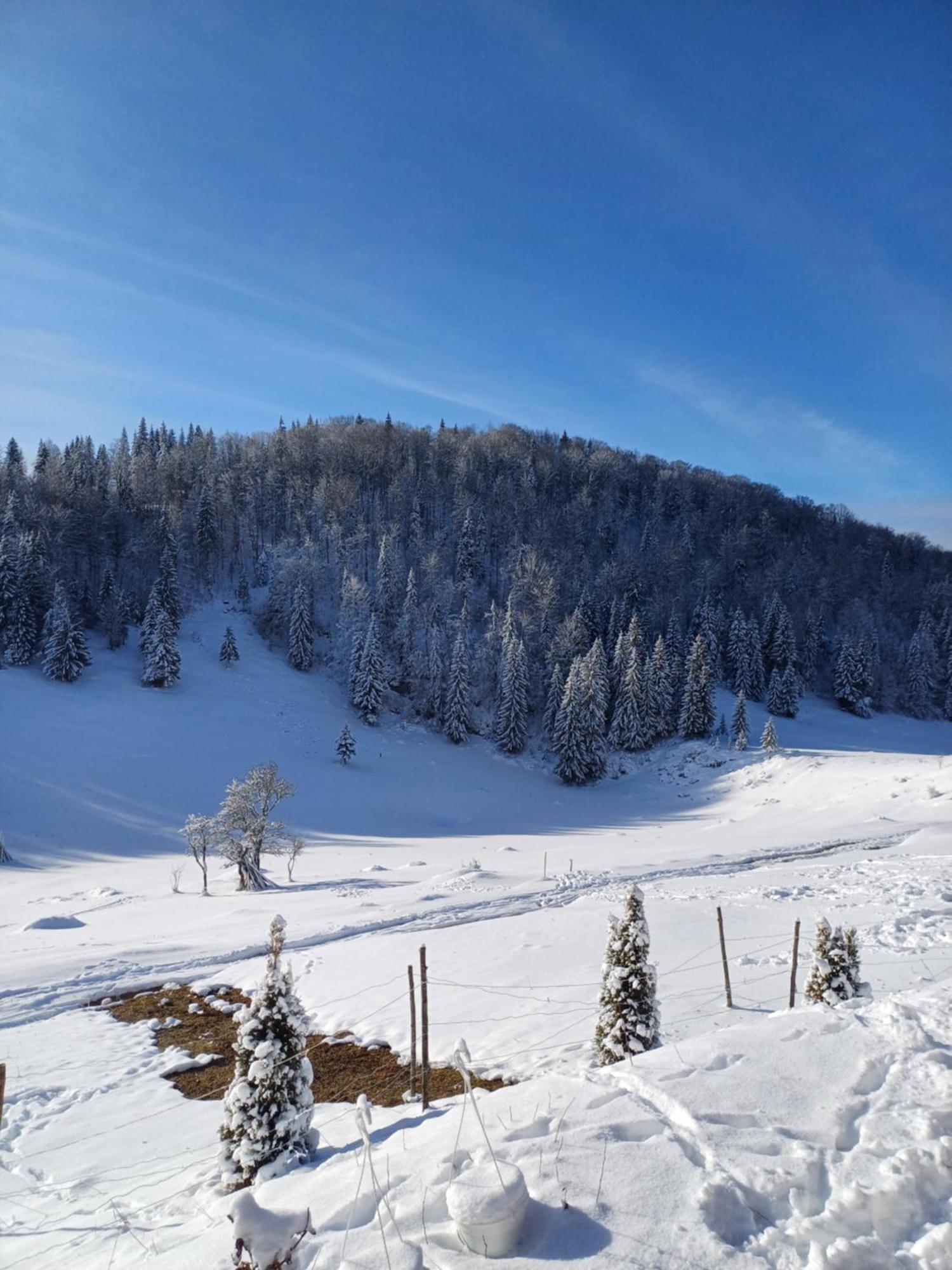 Pensiunea Poarta Lui Ionele Gîrda de Sus Exterior foto